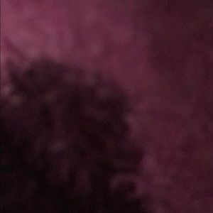 Meet your Posher, Luna